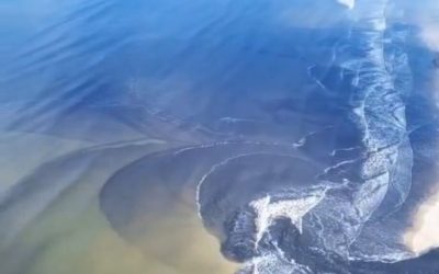 Imagem aérea de Denis Ferraz mostra a mancha escura saindo da foz do Rio Una, em Cabo Frio, e avançando pelo mar em direção ao litoral de Búzios.